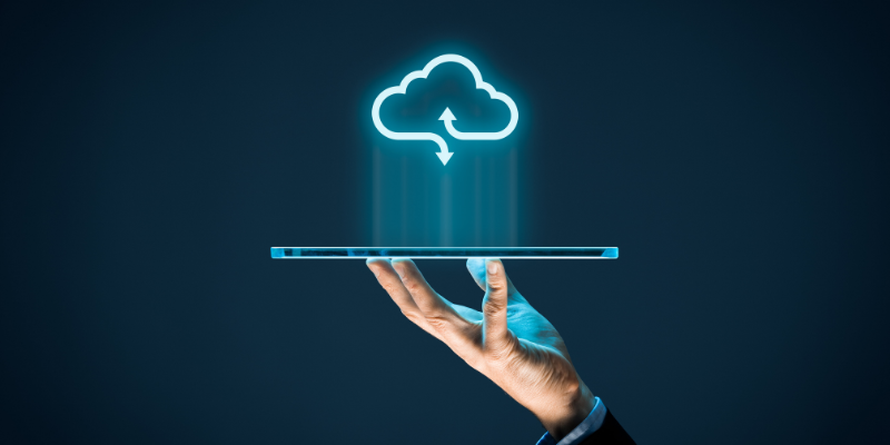 How do organizations optimize costs using cloud computing?